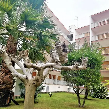 En 2ª Linea De Playa Con Terraza, Parking Y Wifi, Cerca De Comercios. - Es-258-119 Apartment Roses