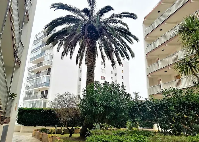Apartamento En 2ª Línea De Playa Con Terraza, Parking Y Wifi, Cerca De Comercios. - Es-258-119 *